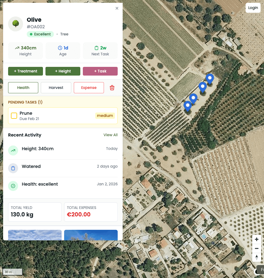Screenshot of Cultilytics App dashboard